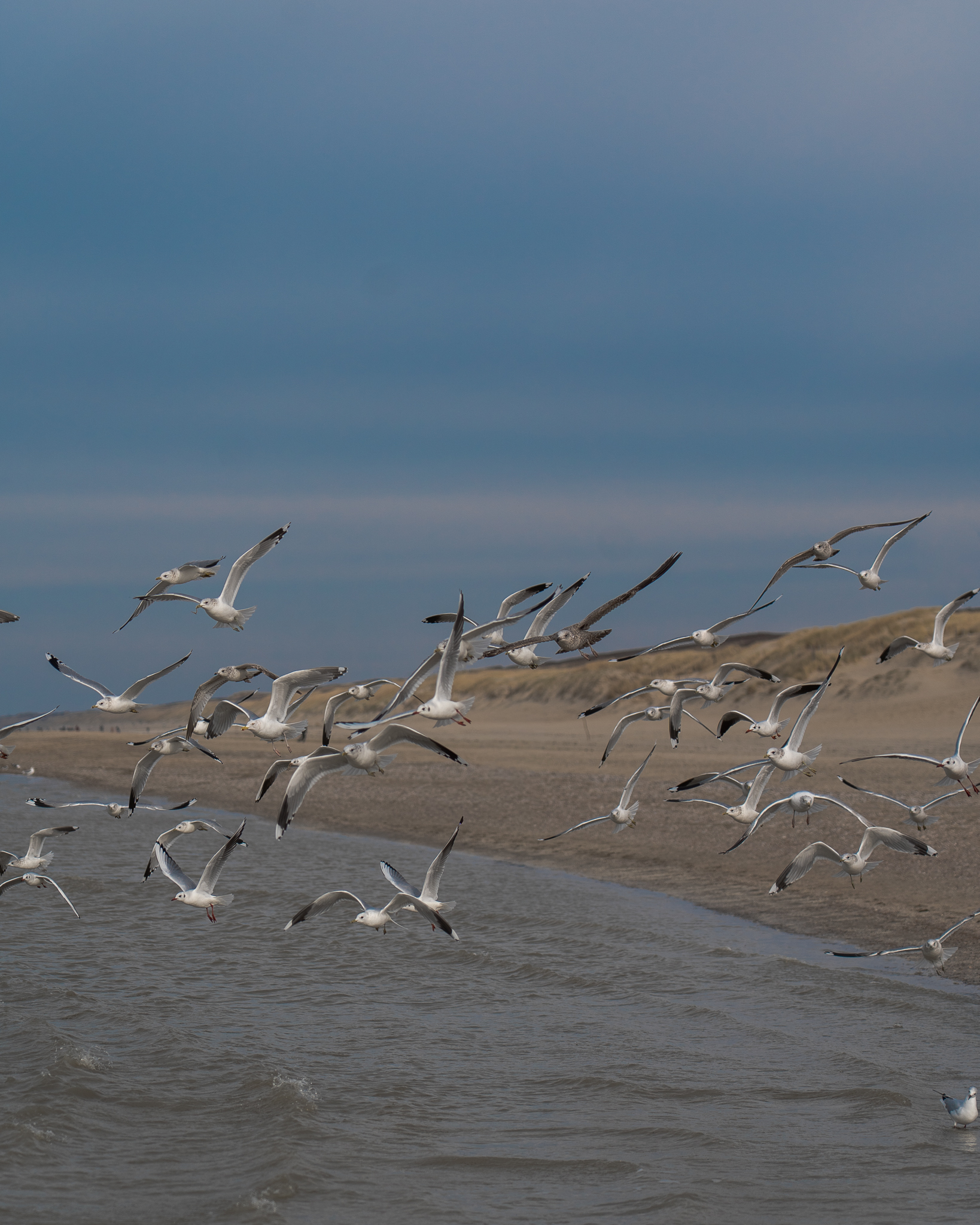 Noordwijk Strand